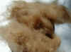 camel_fiber.JPG (163666 bytes)
