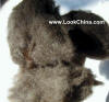 yak_fiber.JPG (421944 bytes)